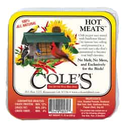 Cole's Hot Meats Assorted Species Suet Beef Suet 11.75 oz.