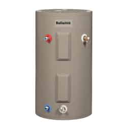 Reliance Electric Mobile Home Water Heater 50 in. H x 22 in. L x 22 in. W 40 gal.