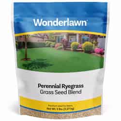 Barenbrug Wonderlawn Perennial Ryegrass Sun/Partial Shade Lawn Seed Blend 10 lb