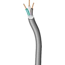 Coleman Cable 12/3 SJEW 300 volts 250 ft. L Service Cord