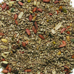 Wild Delight Deck Porch N Patio Assorted Species Wild Bird Food Sunflower Seeds 5 lb.