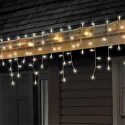 Celebrations Basic LED Mini Clear/Warm White 100 ct String Christmas Lights 5.67 ft.