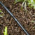 Raindrip Plastic Drip Irrigation Barbed Connector 5