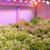 FEIT Electric Red LED Grow Light