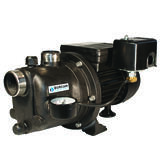 Burcam Thermoplastic Shallow Well Jet Pump 3/4 hp 850 gph