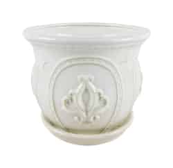 Trendspot 6 in. W White Ceramic Ceramic Pot