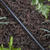 Raindrip Vinyl Drip Irrigation Tubing 1/4 in. x 50 ft. L