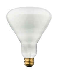 Westinghouse 65 watts BR40 Incandescent Bulb 715 lumens 6 pk White Floodlight