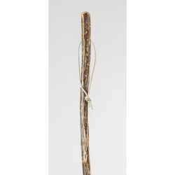 Brazos Walking Sticks