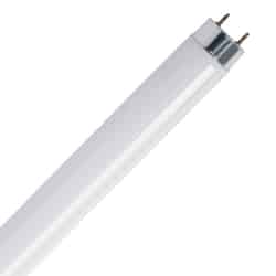 Feit Electric  32 watt T8  1 in. Dia. x 48 in. L Fluorescent Bulb  Cool White  Tubular  4100 K 2 pk 