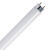 Feit Electric  32 watt T8  1 in. Dia. x 48 in. L Fluorescent Bulb  Cool White  Tubular  4100 K 2 pk 