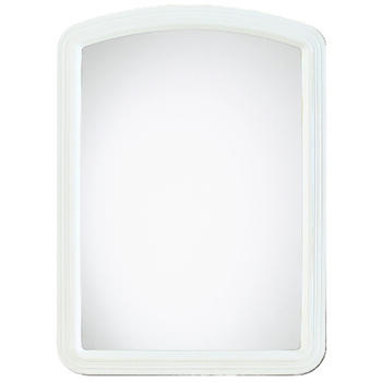 Erias 22 in. H x 16 in. W White Wall Mirror Plastic