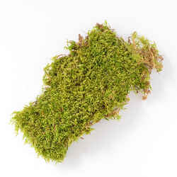 Mosser Lee Organic Sheet Moss 325 sq. in.