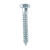 HILLMAN 5/16 in. x 2 in. L Hex Hot Dipped Galvanized Steel Lag Screw 100 pk