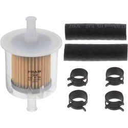 Fram Gas Filter G2CS
