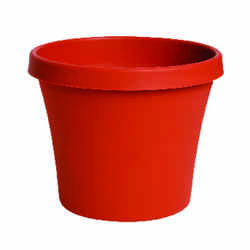 Bloem Terrapot 5.5 in. H x 6 in. Dia. Terracotta Clay Resin Traditional Planter
