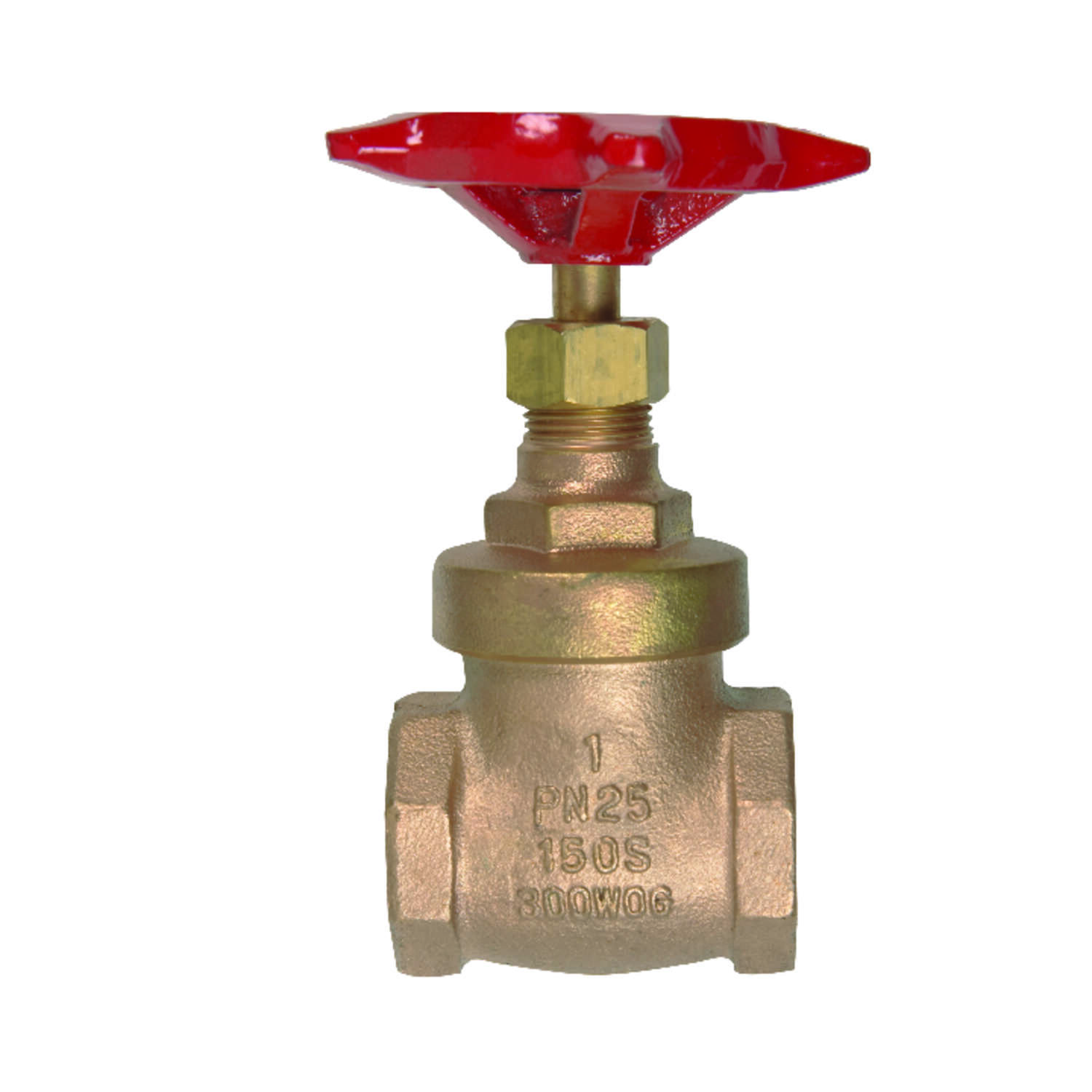 image-1