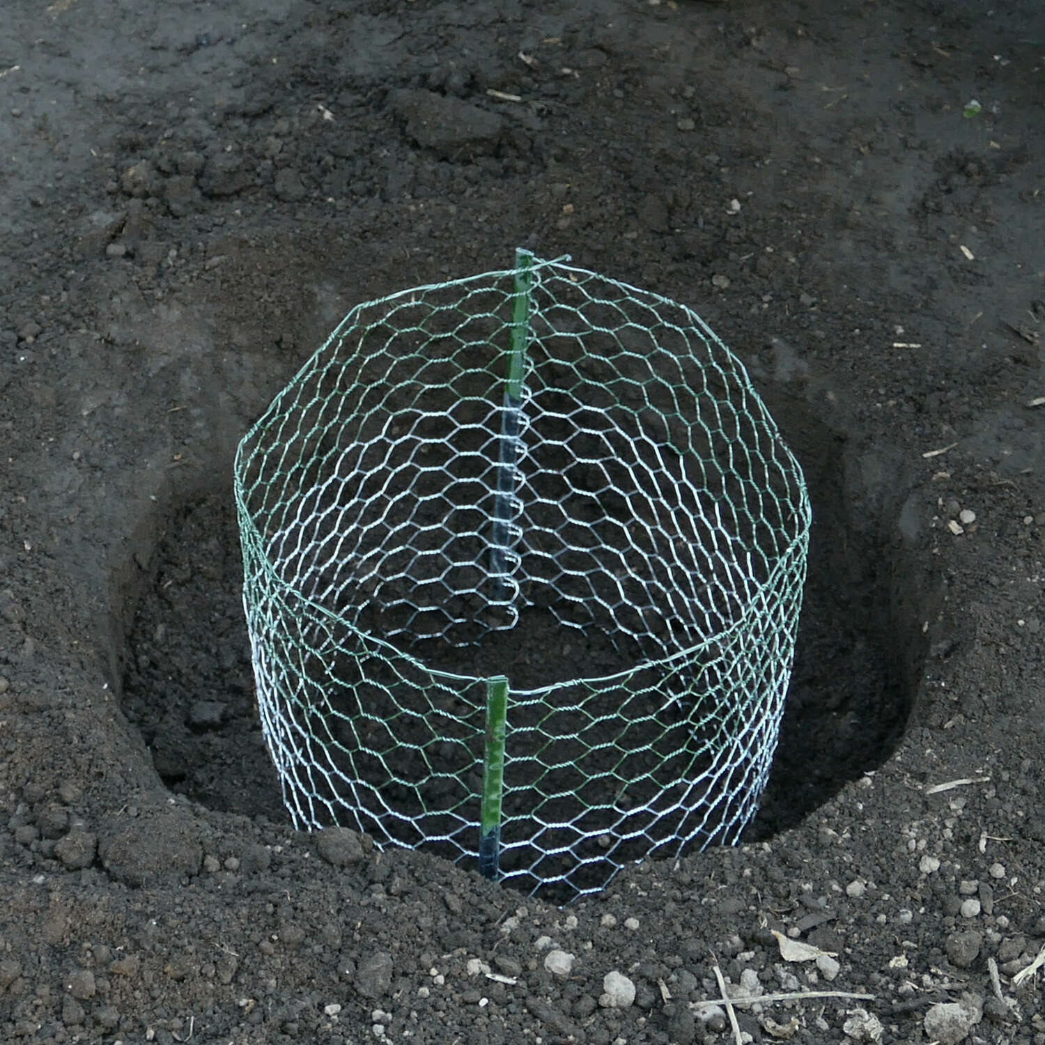 image-4