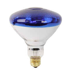 Ace 100 watts PAR38 Incandescent Bulb Blue Floodlight 1 pk