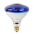 Ace 100 watts PAR38 Incandescent Bulb Blue Floodlight 1 pk