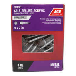 Ace 9 Sizes x 2 in. L Hex Hex Washer Head Ceramic Steel 1 lb. Self-Sealing Screws