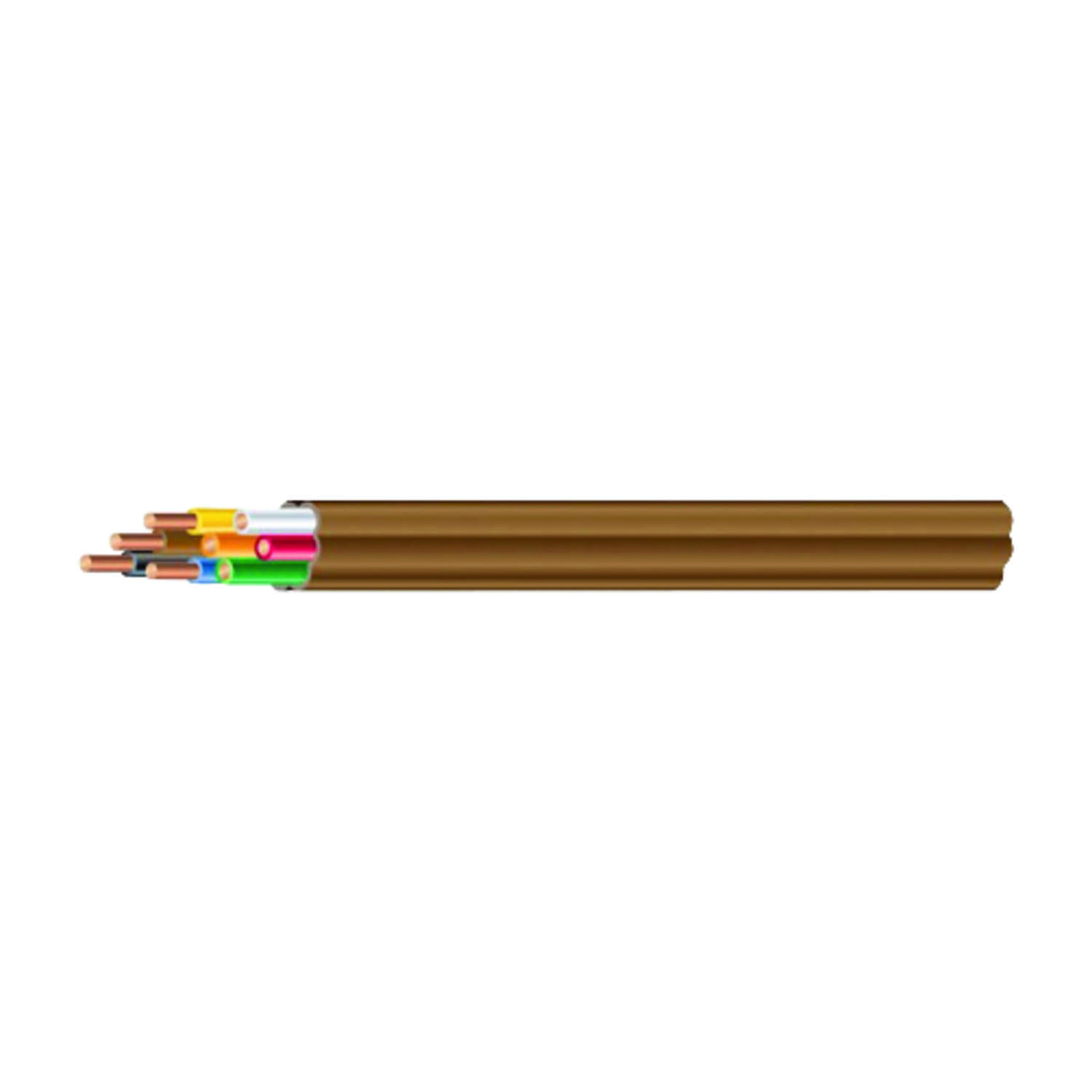 image-1