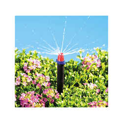 Raindrip Drip Irrigation Micro Spray
