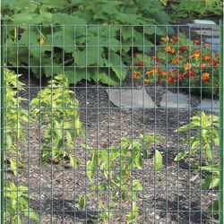 Garden Craft 48 in. H X 50 ft. L Steel Garden Fence Green