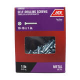 Ace 10-16 Sizes x 1 in. L Phillips Zinc-Plated Steel Self- Drilling Screws 1 lb. Pan Head