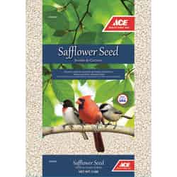 Ace Assorted Species Wild Bird Food Safflower Seeds 5 lb.