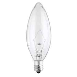 Westinghouse 60 watts B10 Incandescent Bulb 615 lumens Warm White Decorative 2 pk