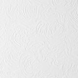 USG Ceilings Orleans 12 in. W x 0.5 in. L Wood Fiber Staple Ceiling Tile Orleans