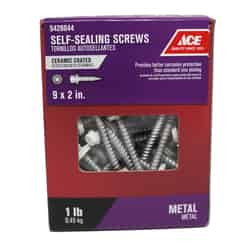 Ace 9 Sizes x 2 in. L Hex Hex Washer Head Ceramic Self-Sealing Screws Steel 1 lb.