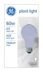 GE Lighting 60 watts A19 Incandescent Bulb 630 lumens Daylight Decorative 1 pk