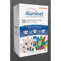 Sylvania Illuminet LED C9 LED Light Set Color Changing 16 ft. 25 lights
