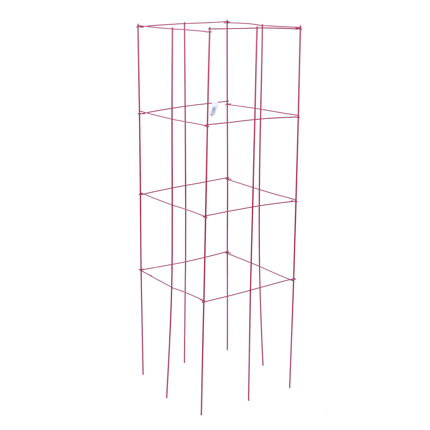 image-1