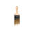 Wooster Gold Edge 2 in. W Angle Paint Brush