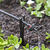 Raindrip Drip Irrigation Button Dripper