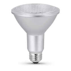 Feit Electric acre PAR30 E26 (Medium) LED Bulb Daylight 75 Watt Equivalence 1 pk