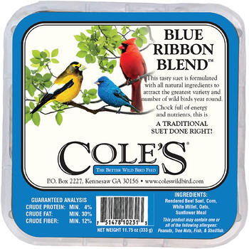 Cole's Blue Ribbon Blend Assorted Species Suet Beef Suet 11.75 oz.