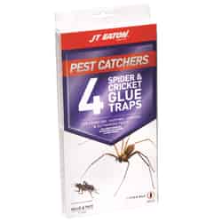 JT Eaton Pest Catchers Spider and Cricket Glue Traps 4 pk 4 pk