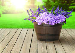 Southern 20.5 in. W Brown Resin Whiskey Barrel Planter