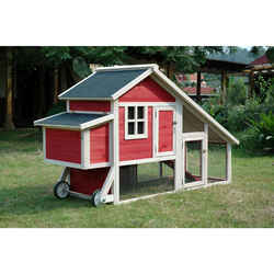 Merry Products 4 Chickens Firwood Chicken Coop