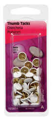 HILLMAN White Push Pins 40 pk