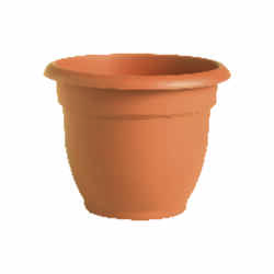 Bloem 6 in. Dia. Terracotta Clay Resin Ariana Planter