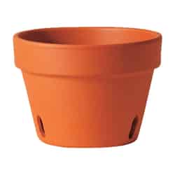 Deroma 5.8 in. H x 8.3 in. W Terracotta Clay Orchid Planter