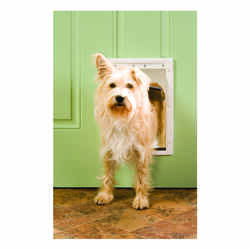 Petsafe Pet Door Medium For Pets up to 40 lb. 8-1/8 in. x 11-3/4 in. White Plastic