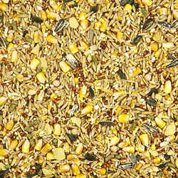 Kaytee Backyard Wildlife Assorted Species Wildlife Food Oats, Wheat, Corn 5 lb.