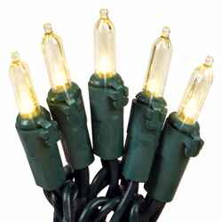 Celebrations Basic LED Mini Clear/Warm White 50 ct String Christmas Lights 12.25 ft.