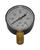Ace Pool Pressure Gauge 1/4 in. H